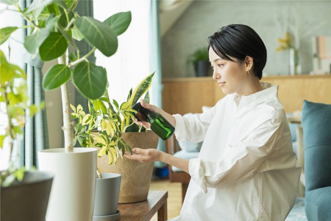 キホンのキはやっぱり水やり　観葉植物が喜ぶ水やりの仕方とは？