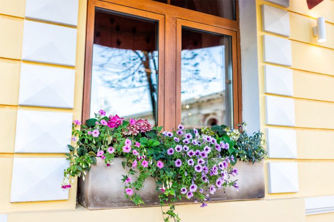 窓の外を季節の植物で彩る　ウィンドウボックスでオシャレな家に