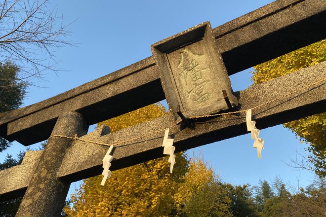 すごーく良い天気